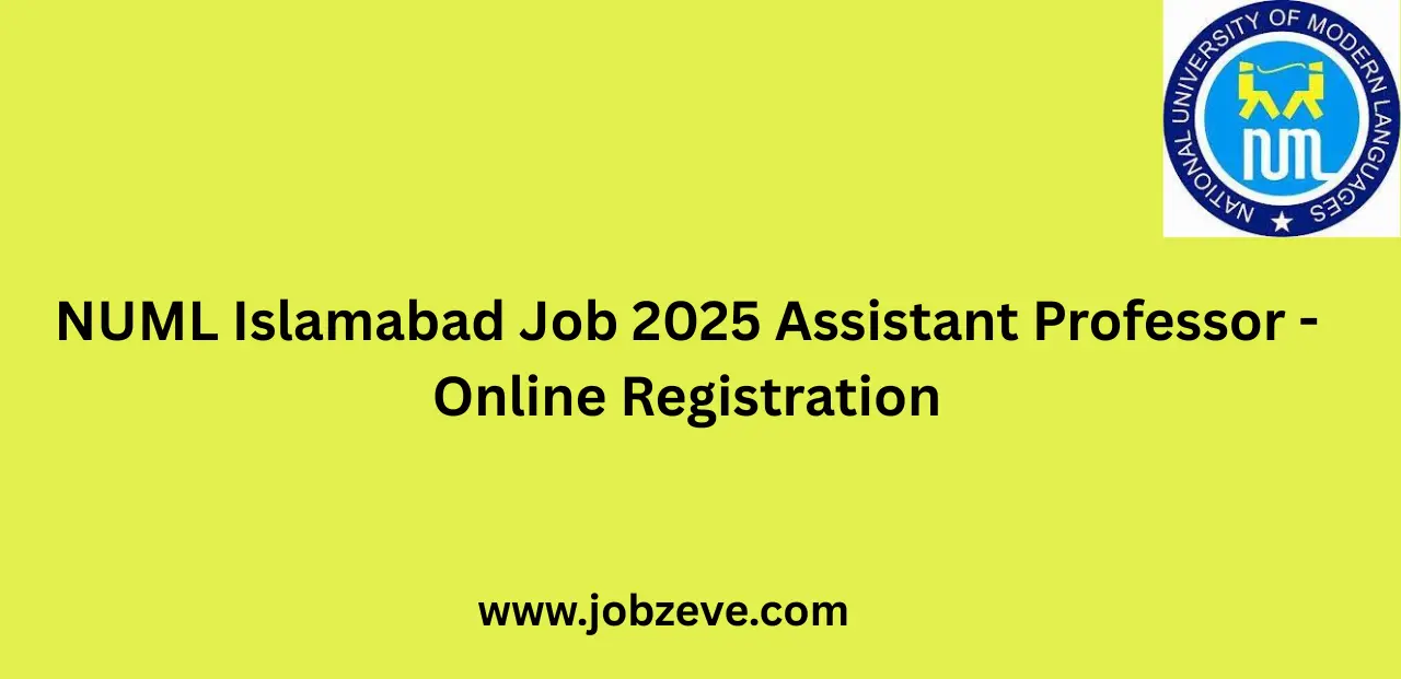 NUML Islamabad Job 2025 Assistant Professor Online Registration